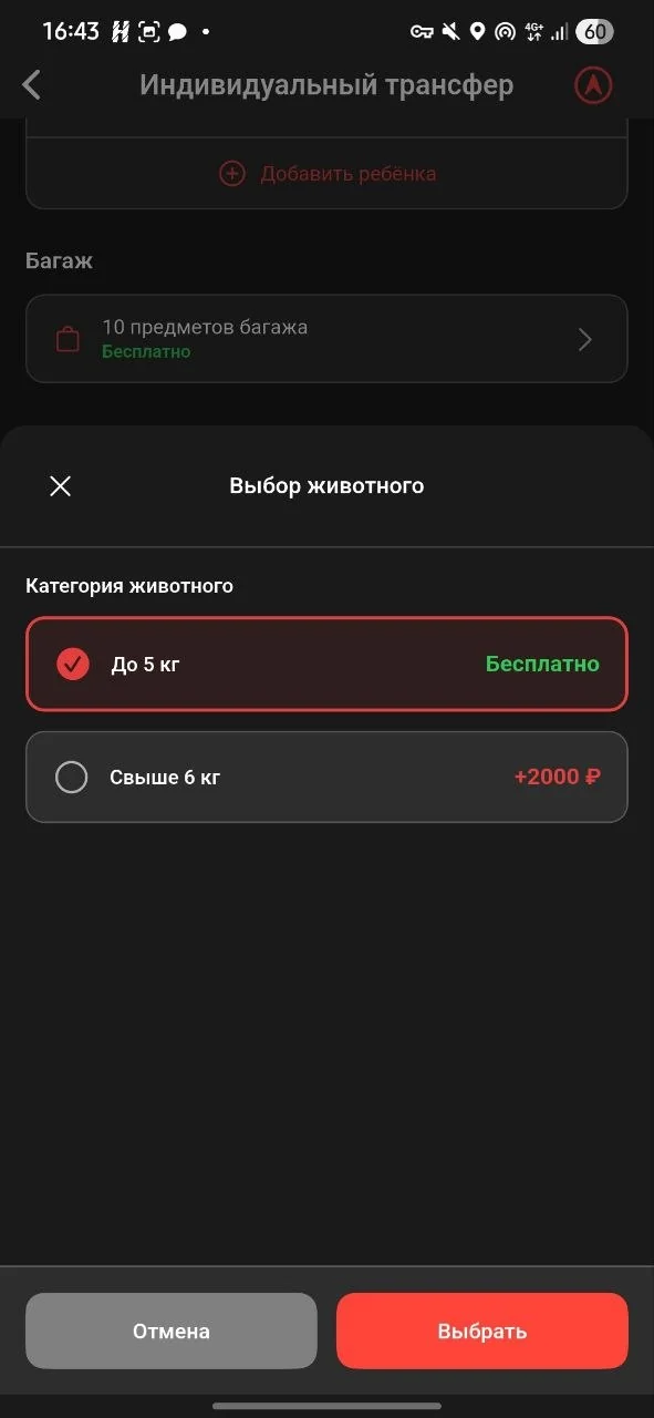 Выбор типа автомобиля для трансфера